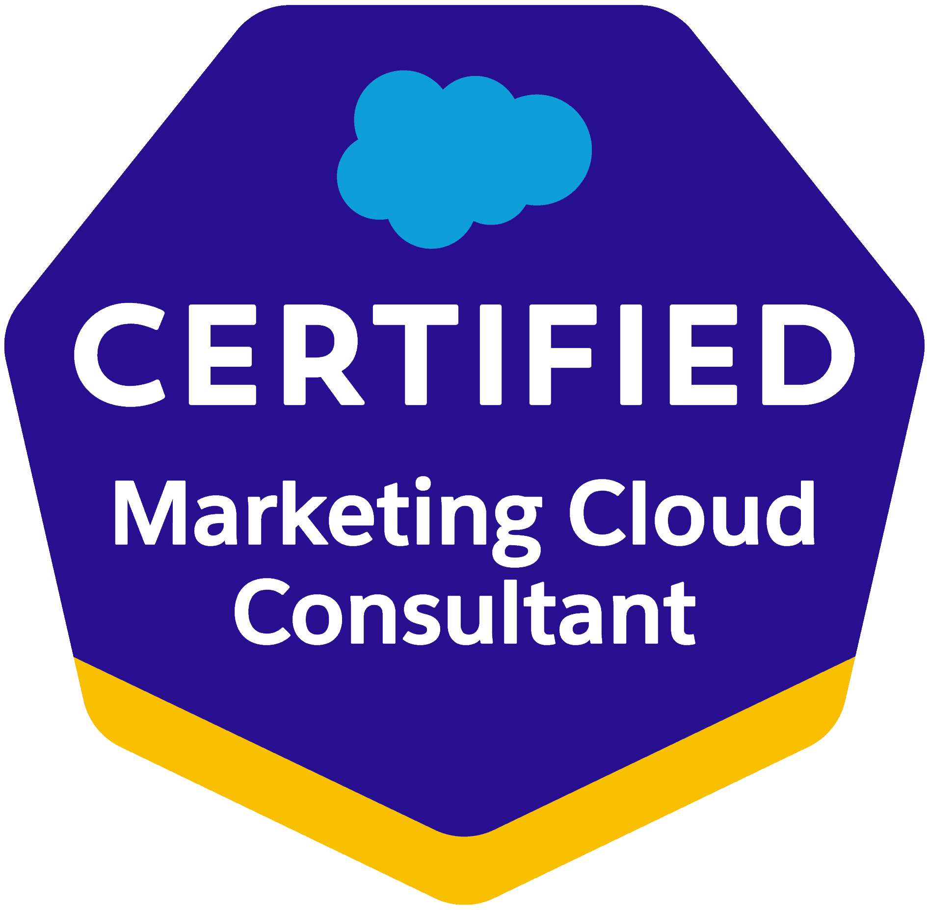 Salesforce-Marketing-Cloud-Consultant